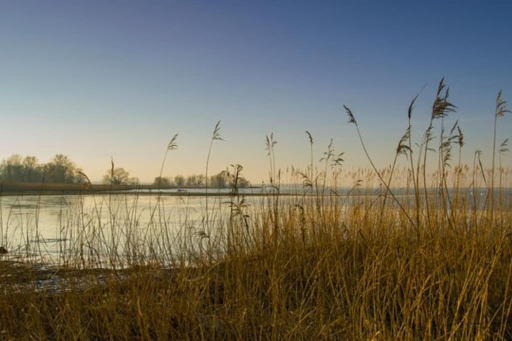Bodensee Apartments, Sauna, Lake Walks, Free Parking, Self Checkin, Nature Reserve, Restaurants Nearby Gaissau  Exteriör bild