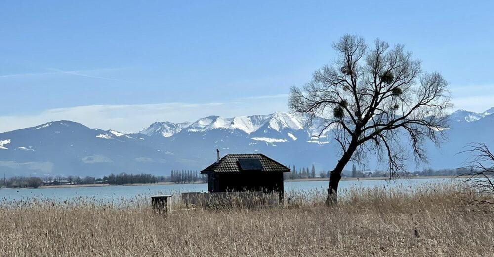 Bodensee Apartments, Sauna, Lake Walks, Free Parking, Self Checkin, Nature Reserve, Restaurants Nearby Gaissau  Exteriör bild