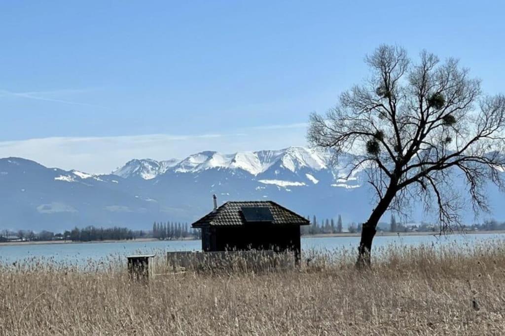 Bodensee Apartments, Sauna, Lake Walks, Free Parking, Self Checkin, Nature Reserve, Restaurants Nearby Gaissau  Exteriör bild