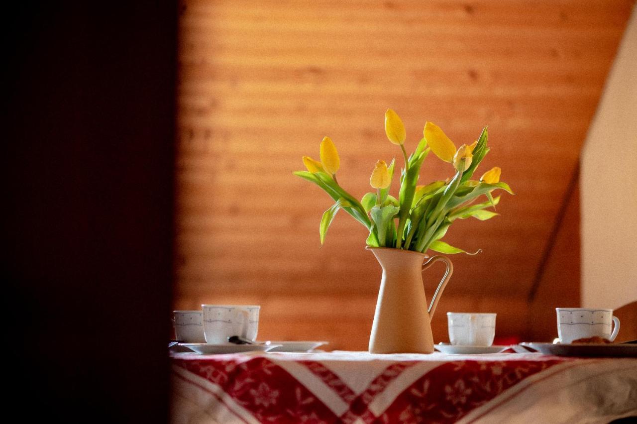 Bodensee Apartments, Sauna, Lake Walks, Free Parking, Self Checkin, Nature Reserve, Restaurants Nearby Gaissau  Exteriör bild